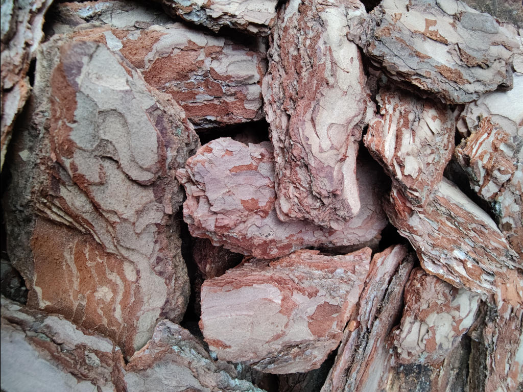 Кора сосновая