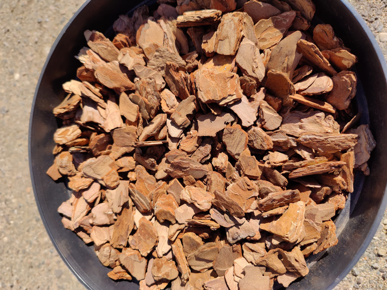 Сосновая кора мелкая галтованная